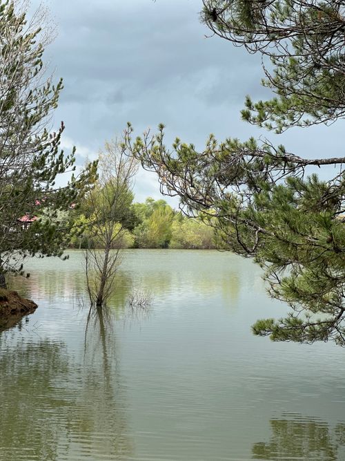 Free Peaceful lake surrounded by lush trees under a cloudy sky. Ideal for nature themes. Stock Photo