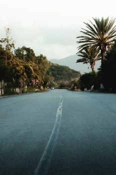 Quiet rural road with lush vegetation in El Aouana, Algeria, showcasing tranquil natural beauty.