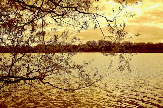 秋叶映衬着宁静的河景，倒映在平静的水面上