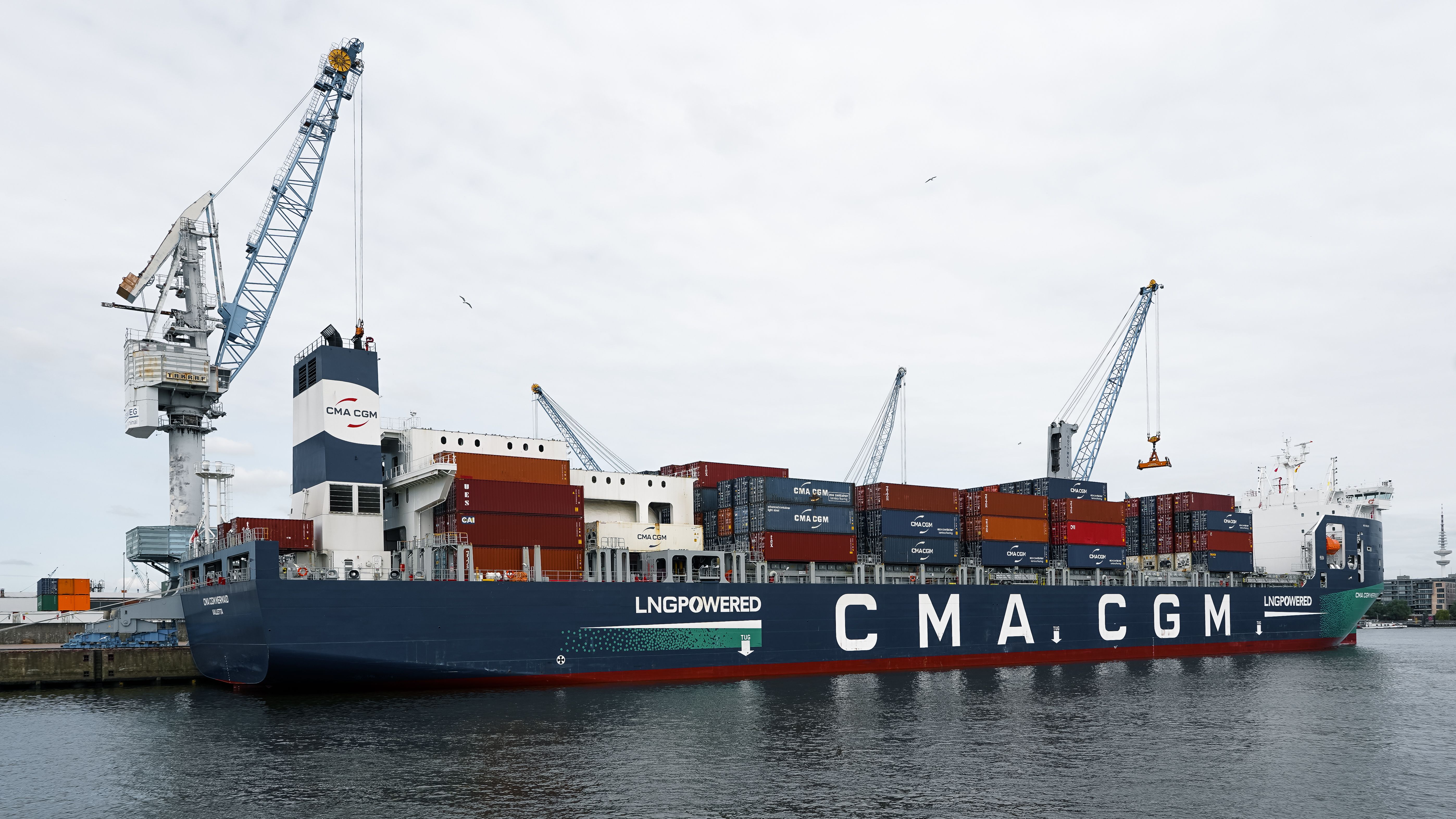 A large container ship docked at Hamburg port with cranes and containers visible, showcasing global trade.