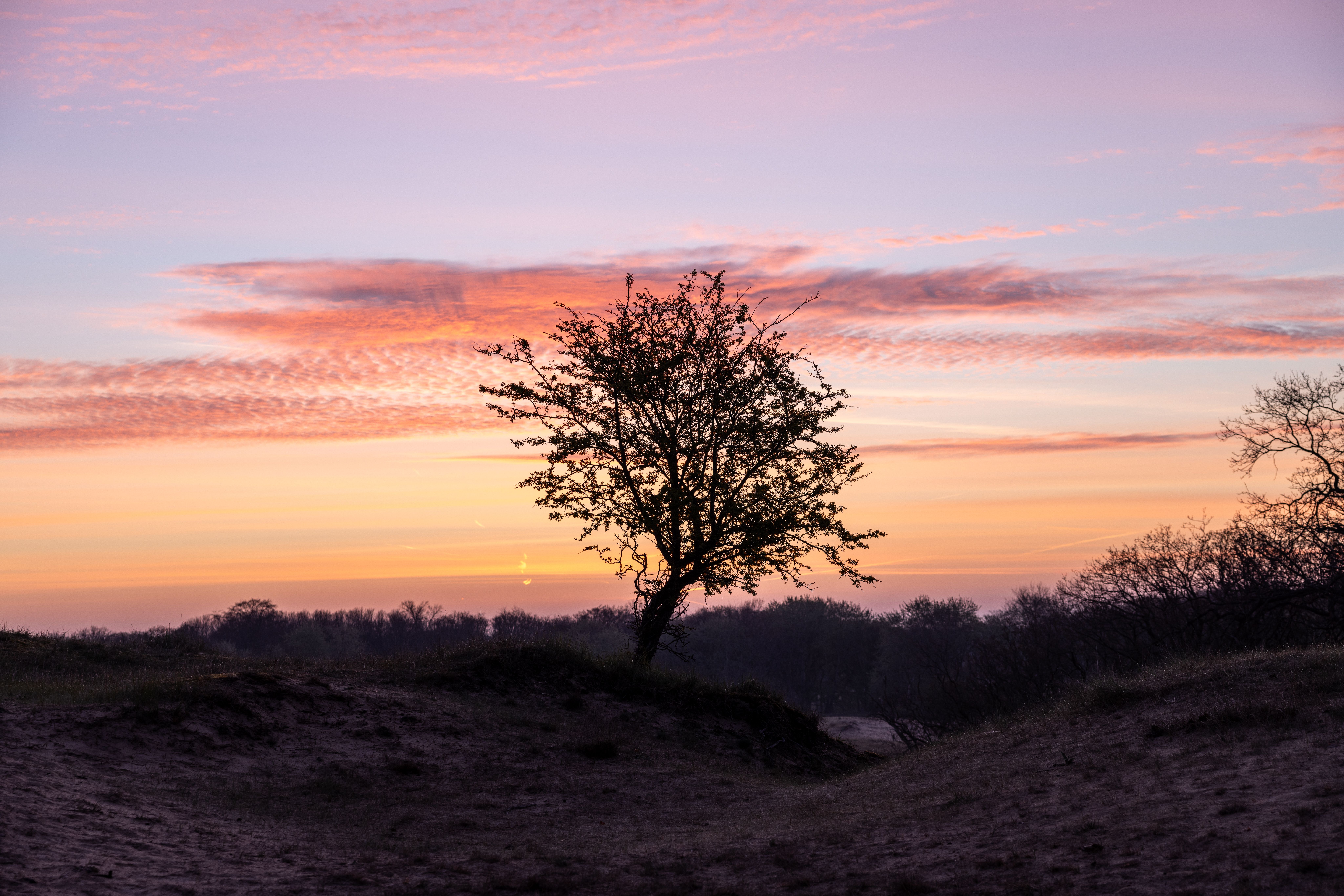 14 Day Ayurvedic Panchakarma Wellness Retreat in the Netherlands 2