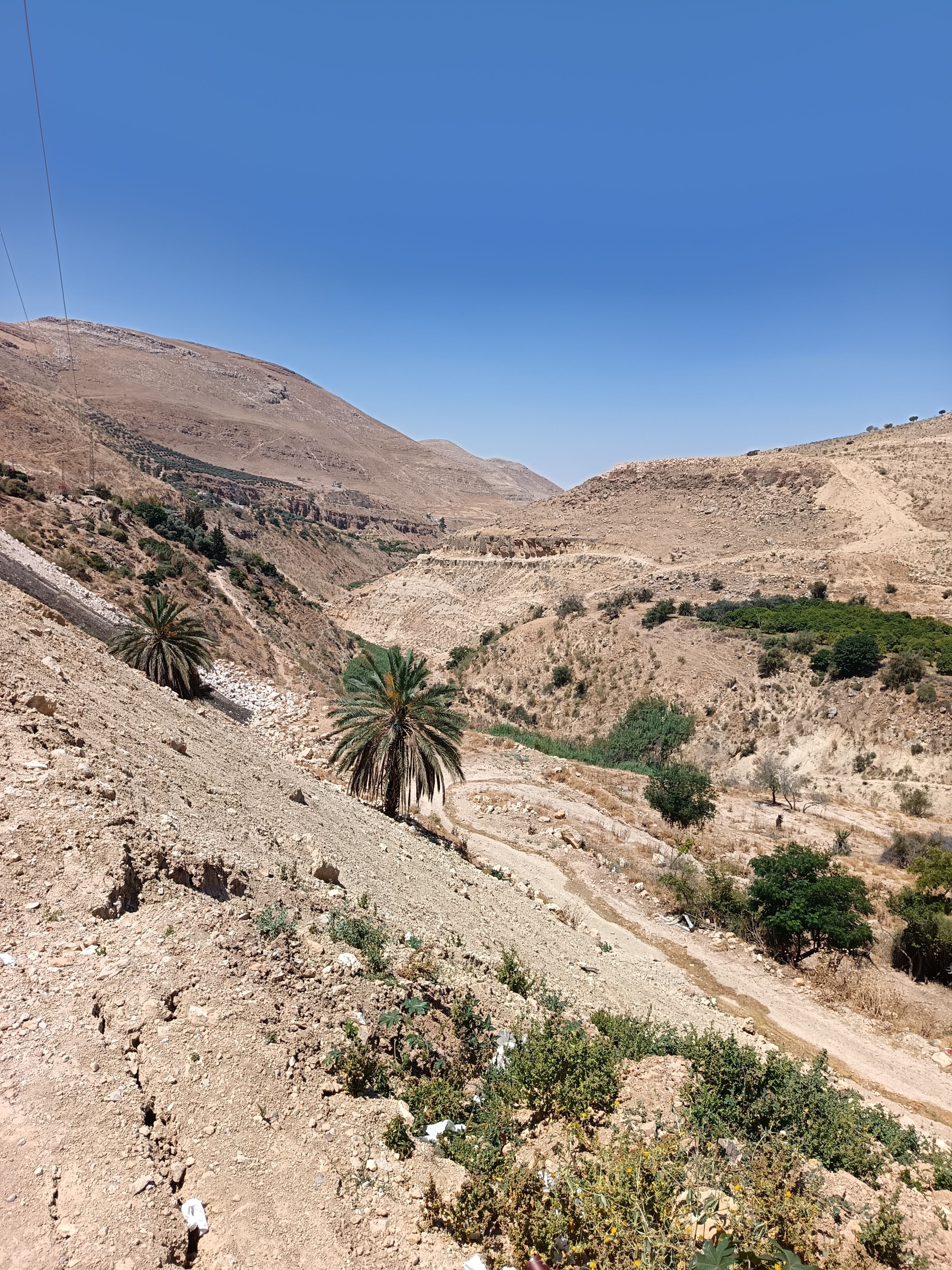 Explore the stunning desert landscape of Wadi Shu'ayb in Balqa, featuring lush palm trees amidst arid terrain.