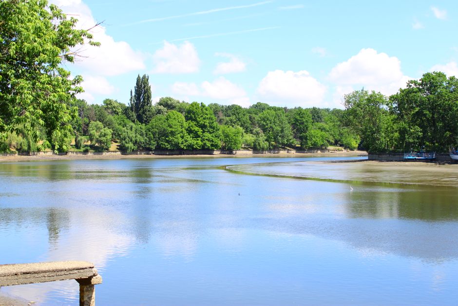 Serene view of Herăstrău Park lake in Bucharest, perfect for nature lovers.