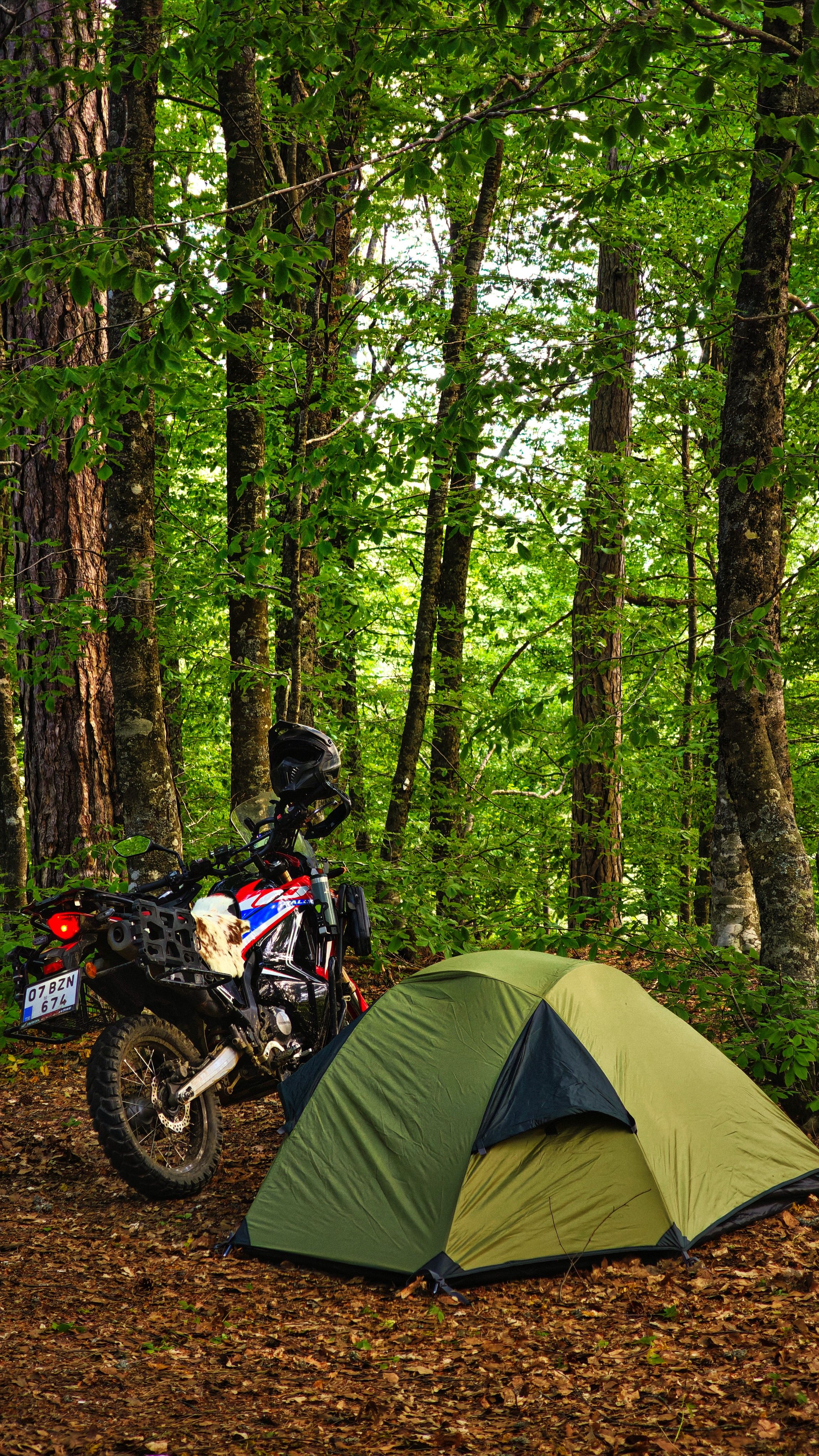 Motorbike and tent nestled in lush green forest, ideal for outdoor adventures.