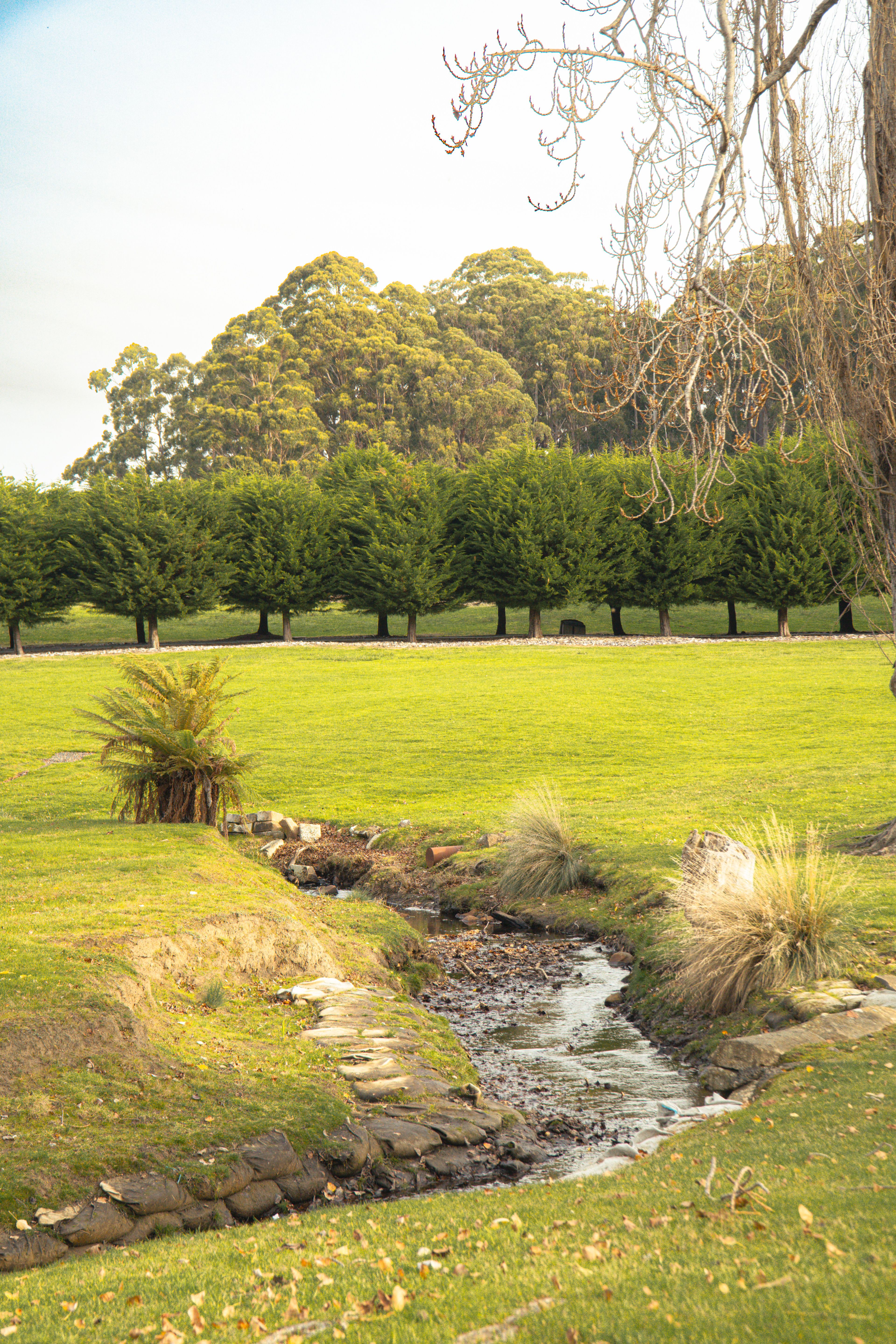 Tranquil Port Arthur scenery with creek and trees in Tasmania, Australia.