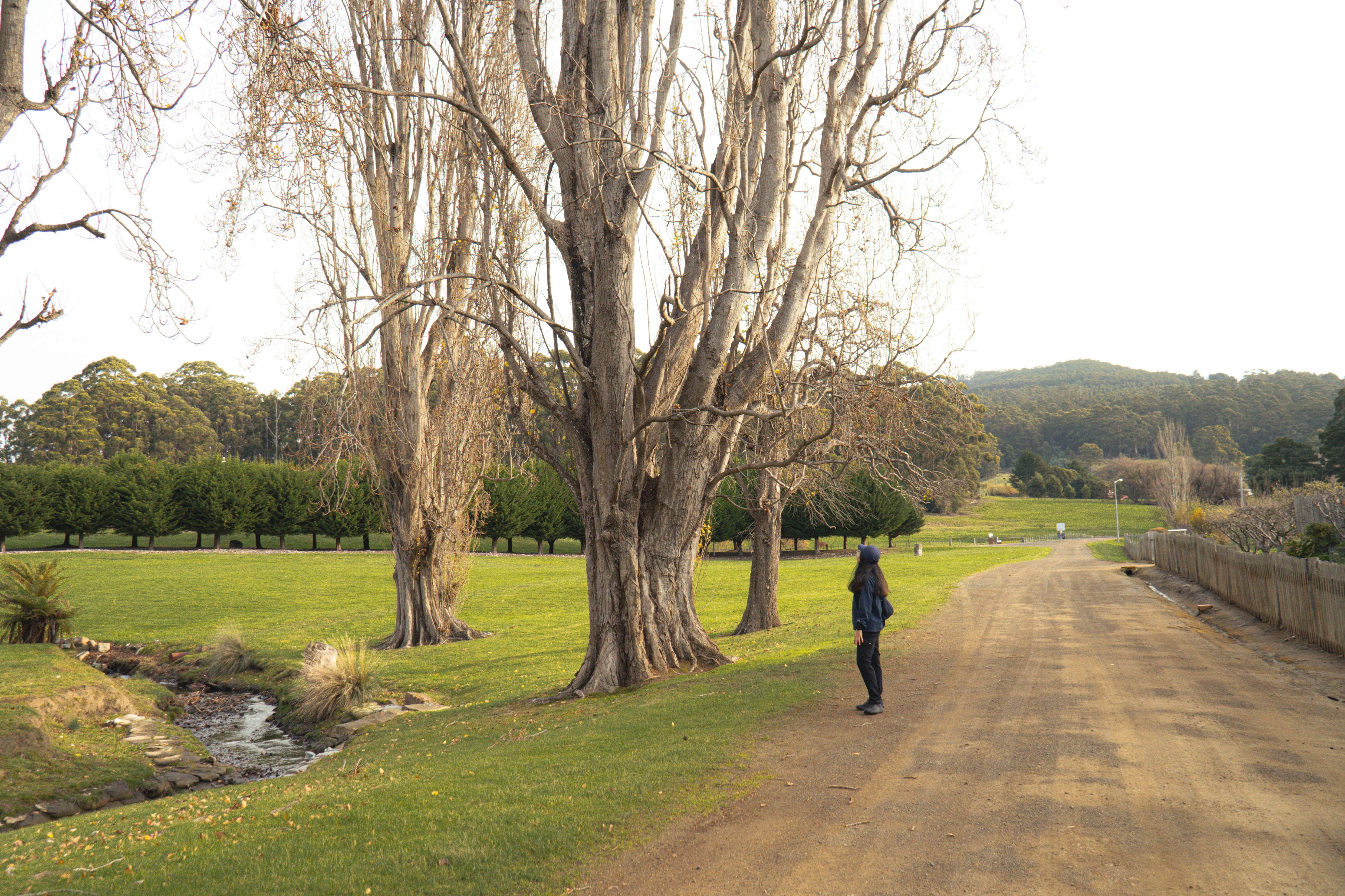 Barossa Valley