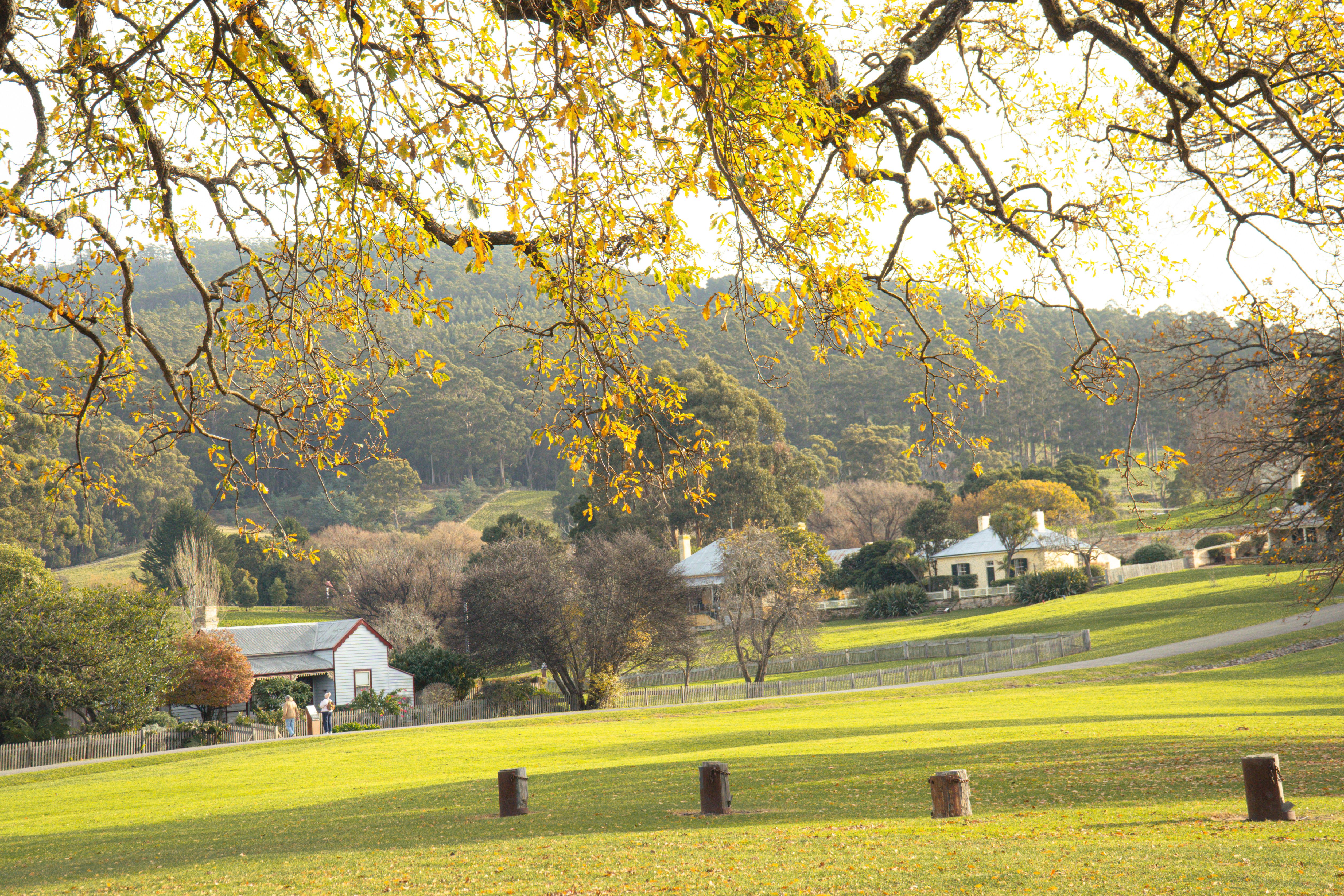 Museums & attractions in Arthurs Point