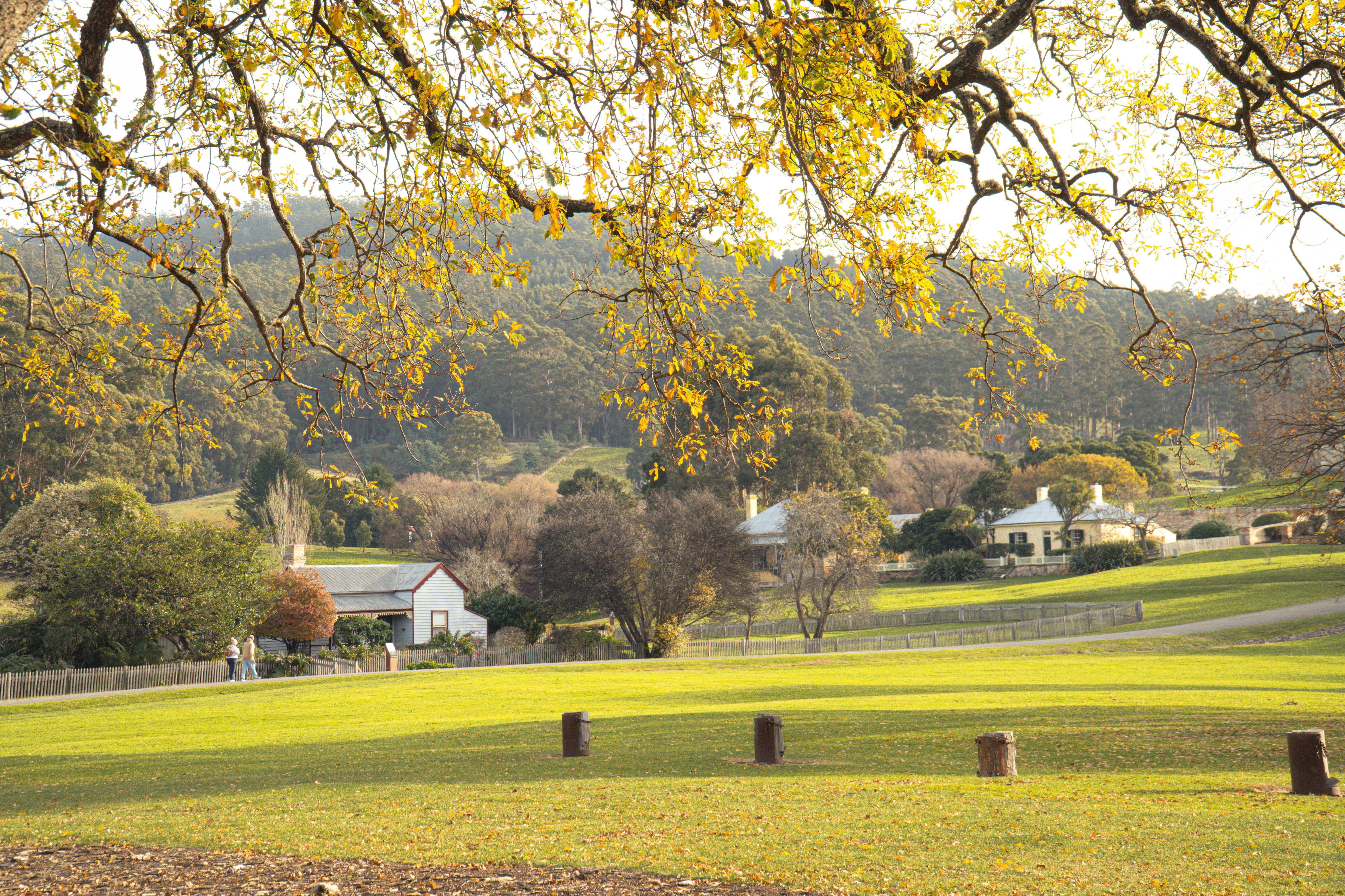Gembrook