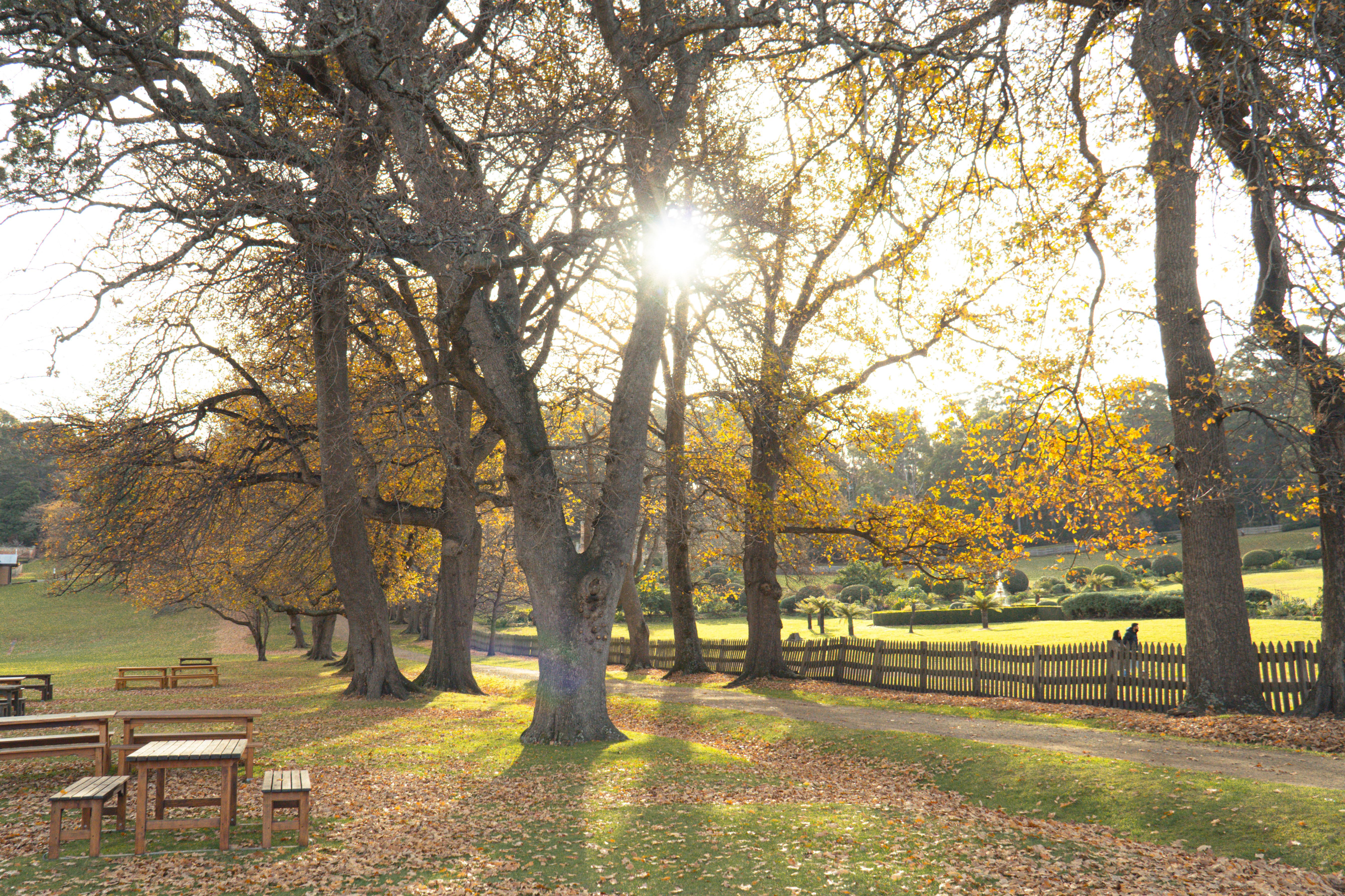 Oatlands