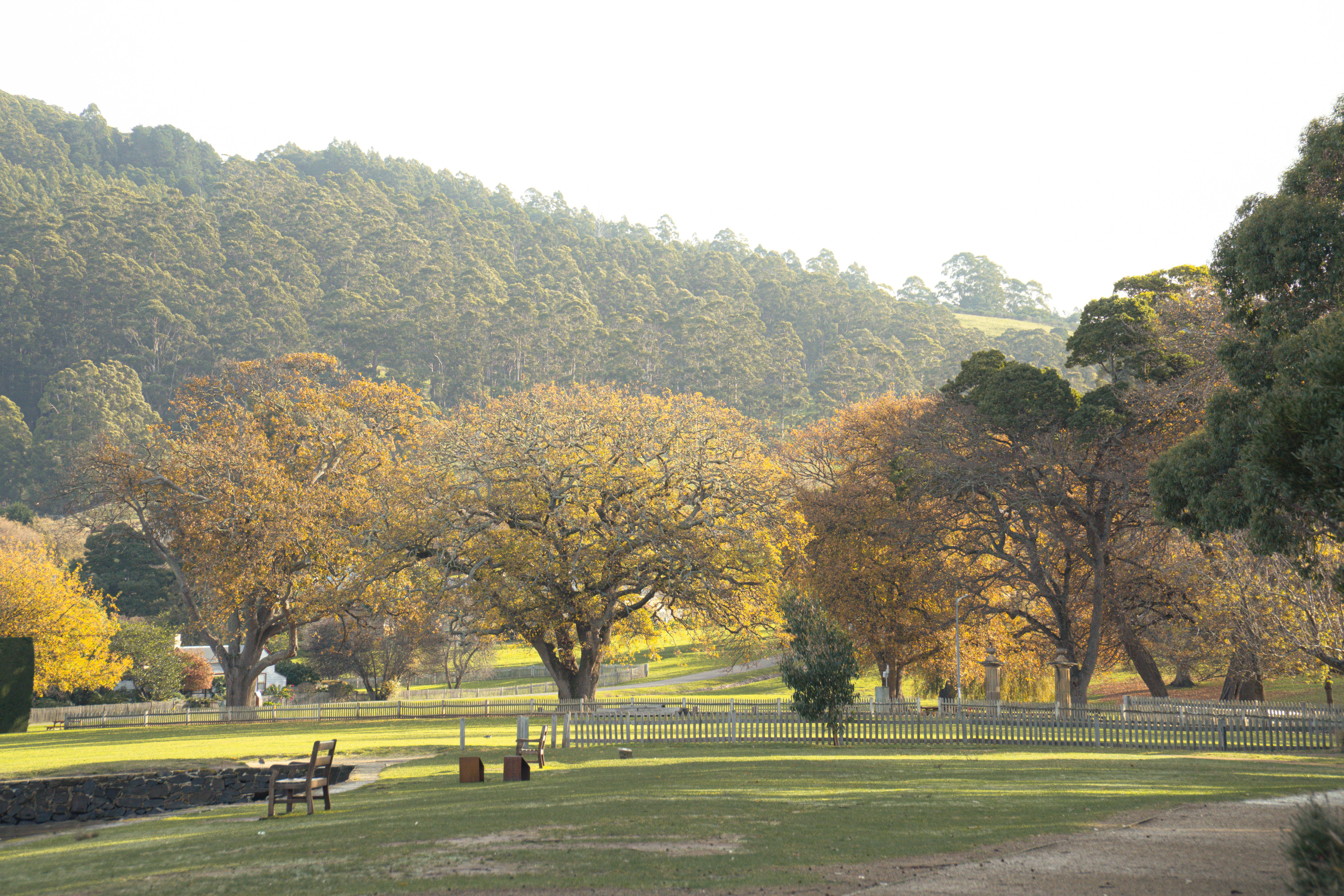 Richmond, Bonorong Wildlife & Coal River Valley Wine