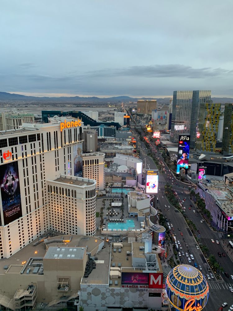 Vegas Suite