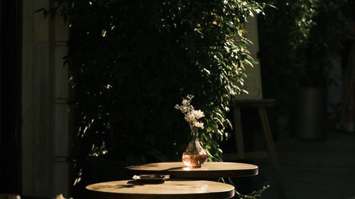 Free A peaceful outdoor scene with a vase of flowers on a sunlit table. Stock Photo