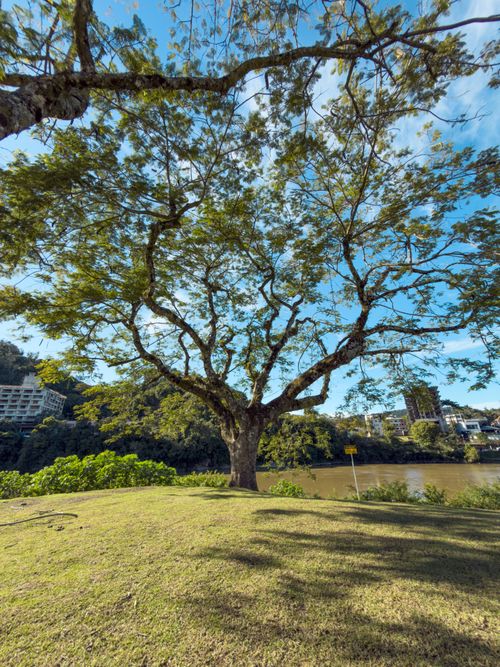 Free stock photo of blumenau, santa catarina, vale do itajai Stock Photo