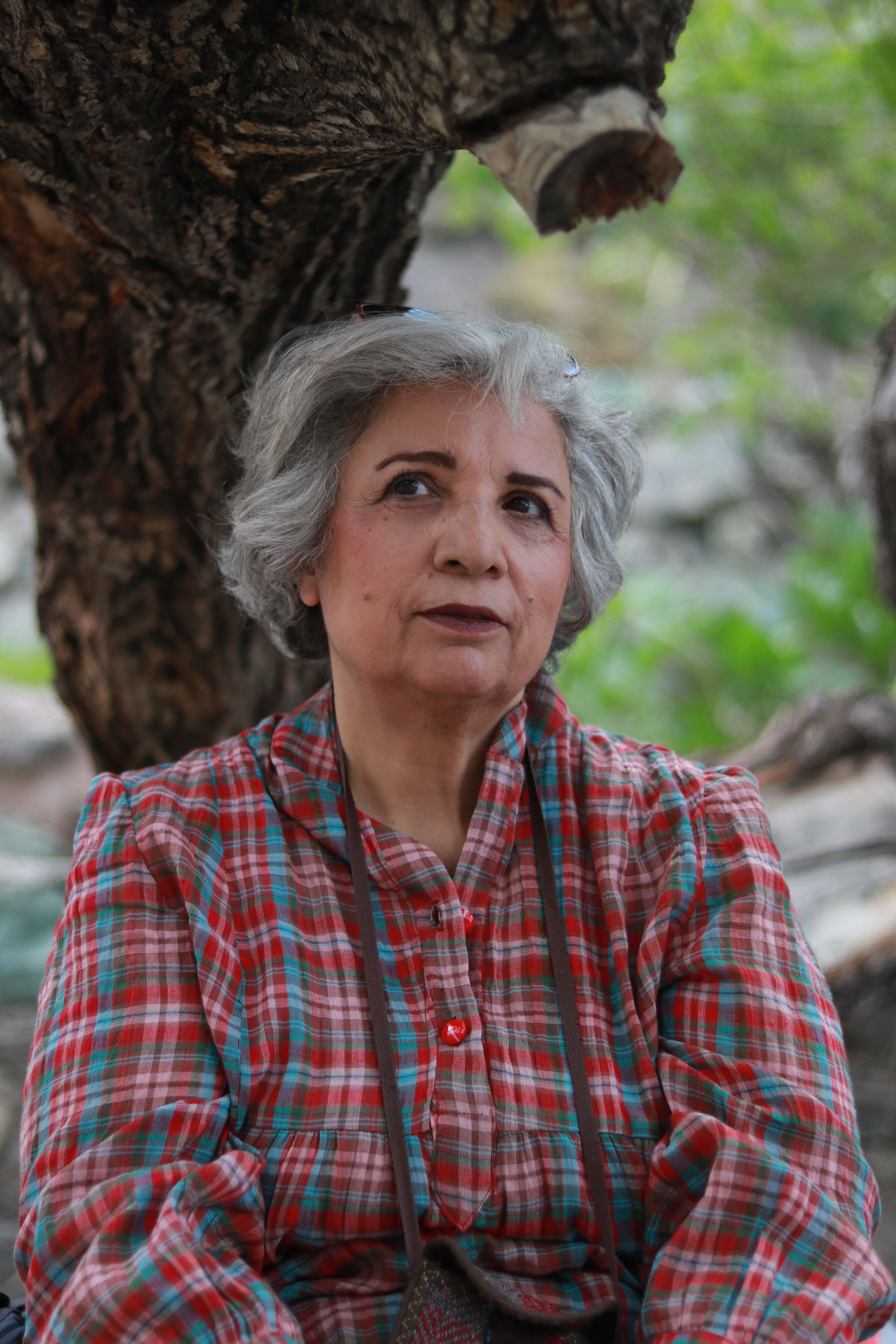 Portrait of a senior woman in a plaid shirt sitting under a tree outdoors.