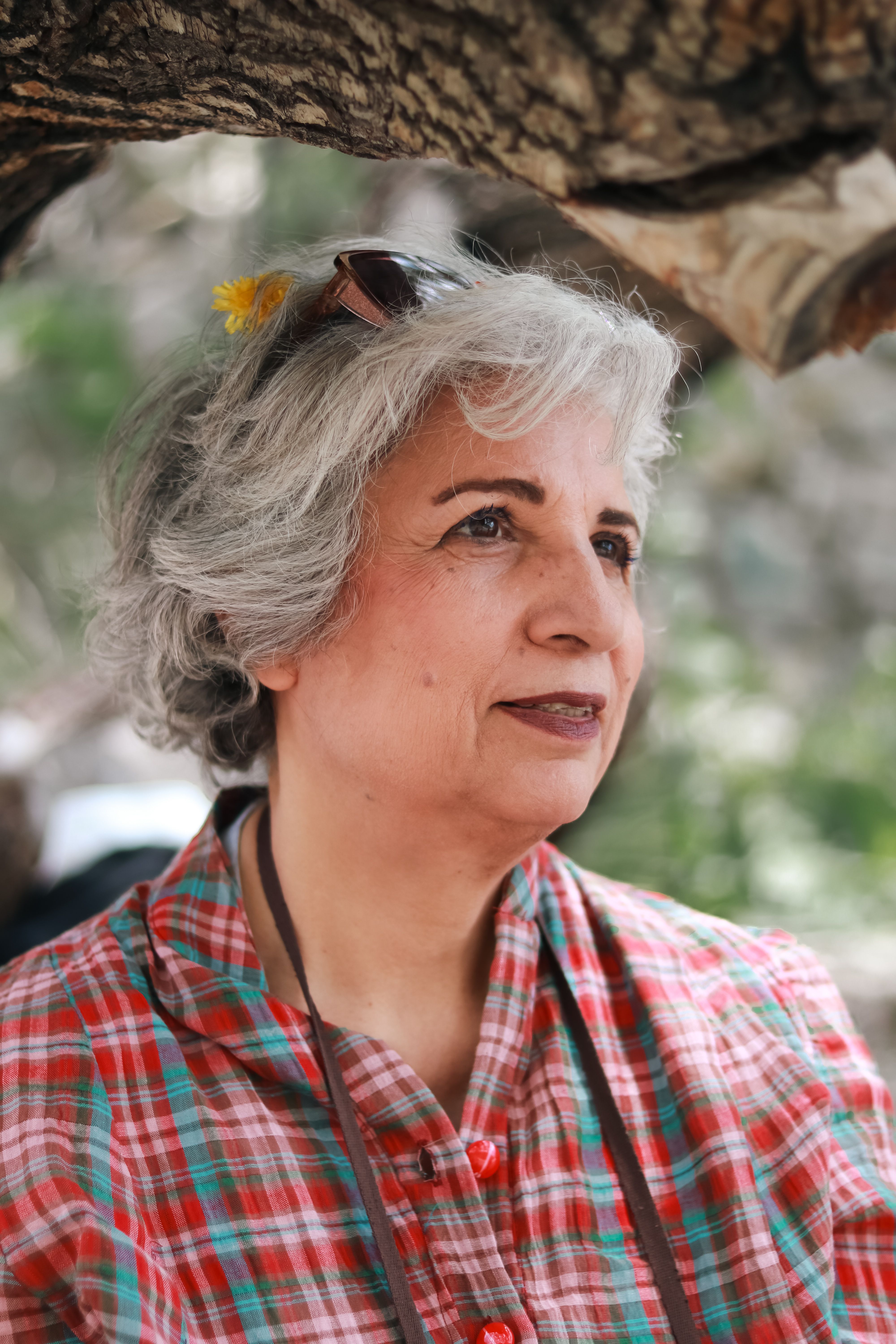 Portrait of a senior woman with gray hair and a plaid shirt, enjoying the outdoors under a tree.