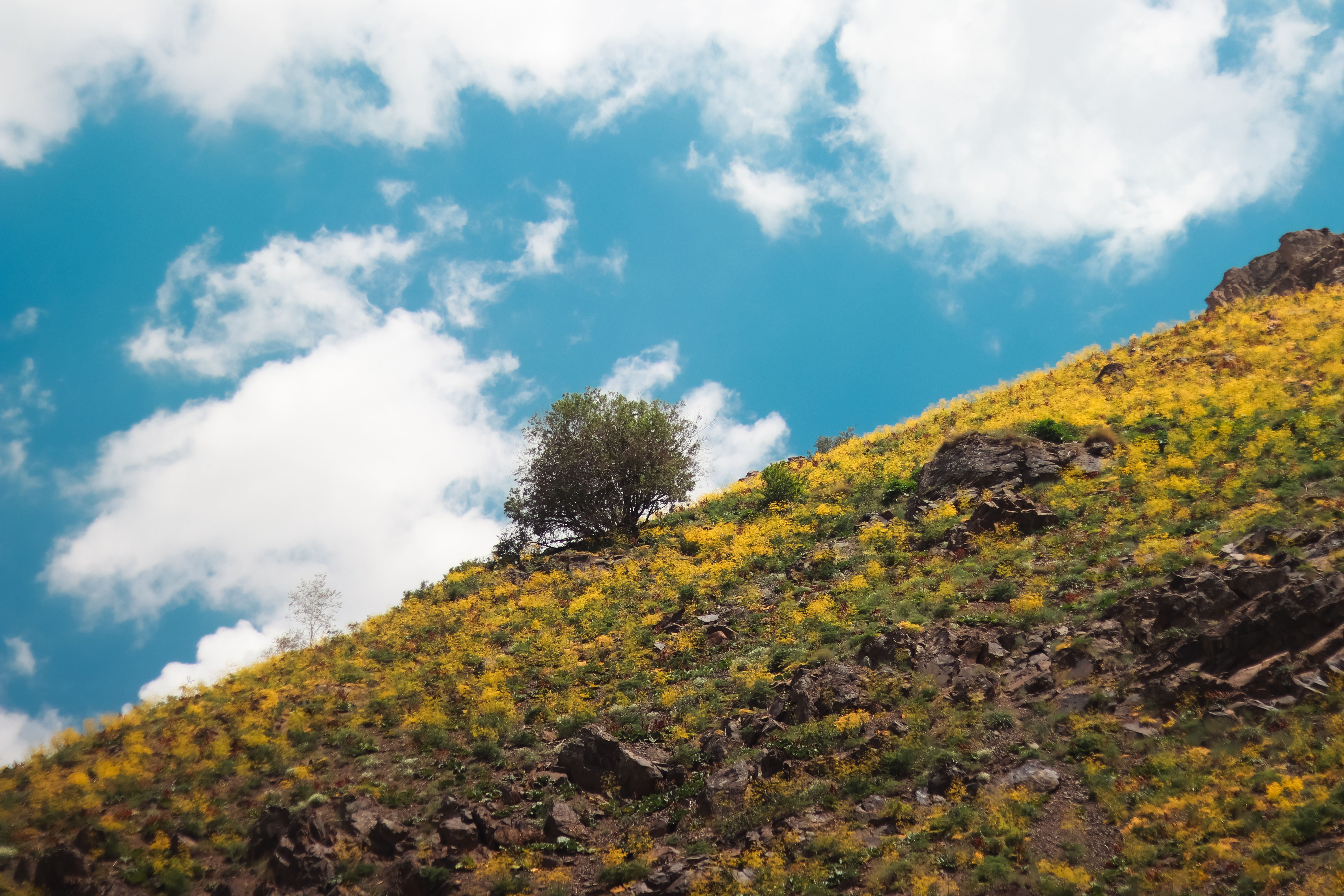 11 Day Yoga with Tortoises in Magical Ethiopia 1