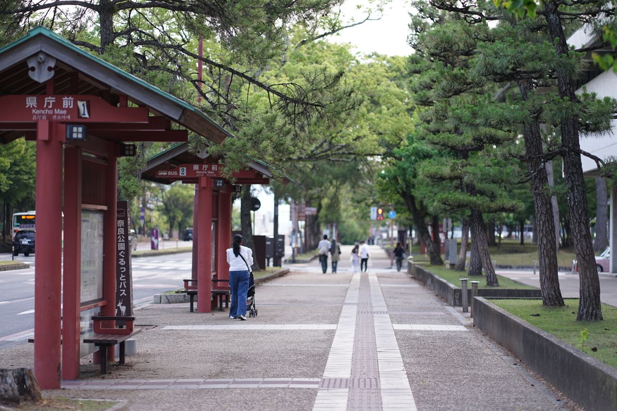 並木の歩道沿いにあるバス停