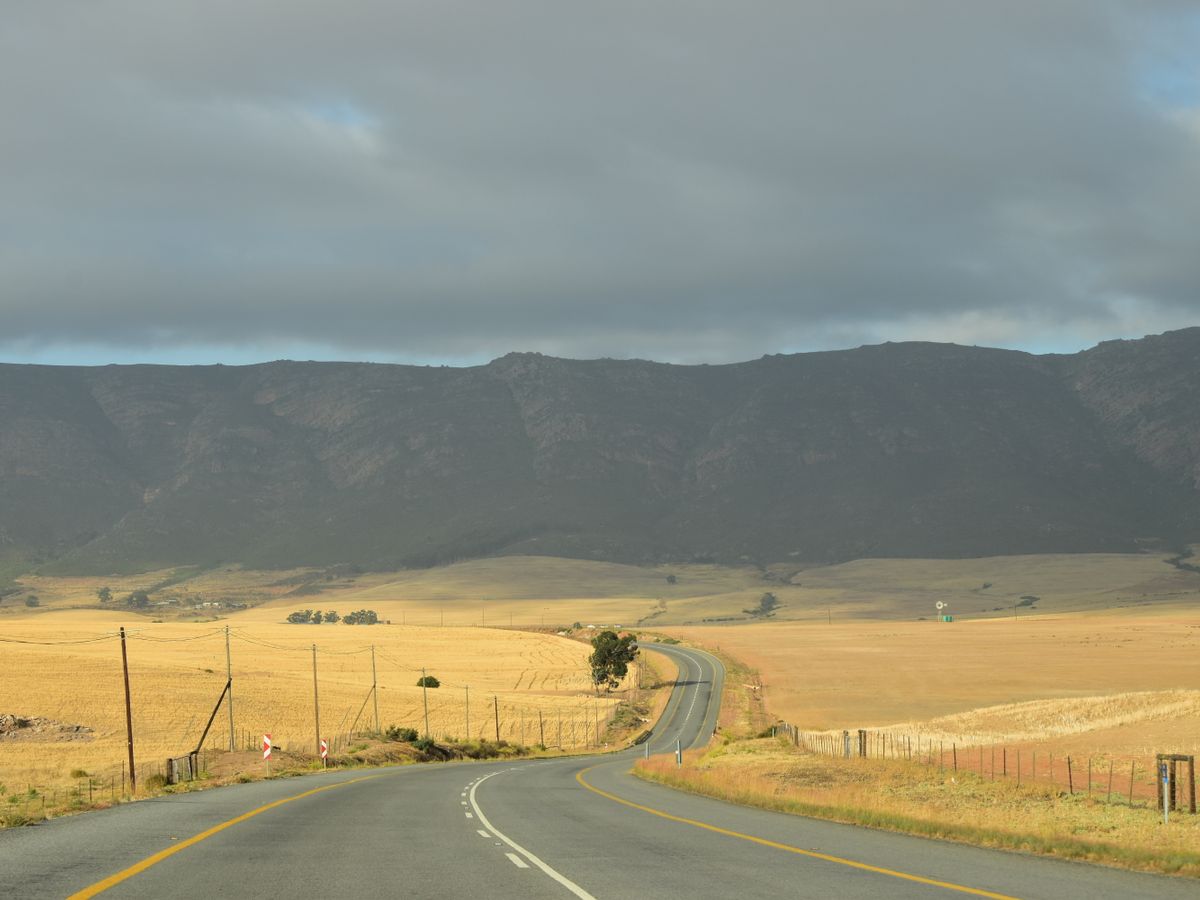 Riavvio Cape Town Wellness Retreat 2