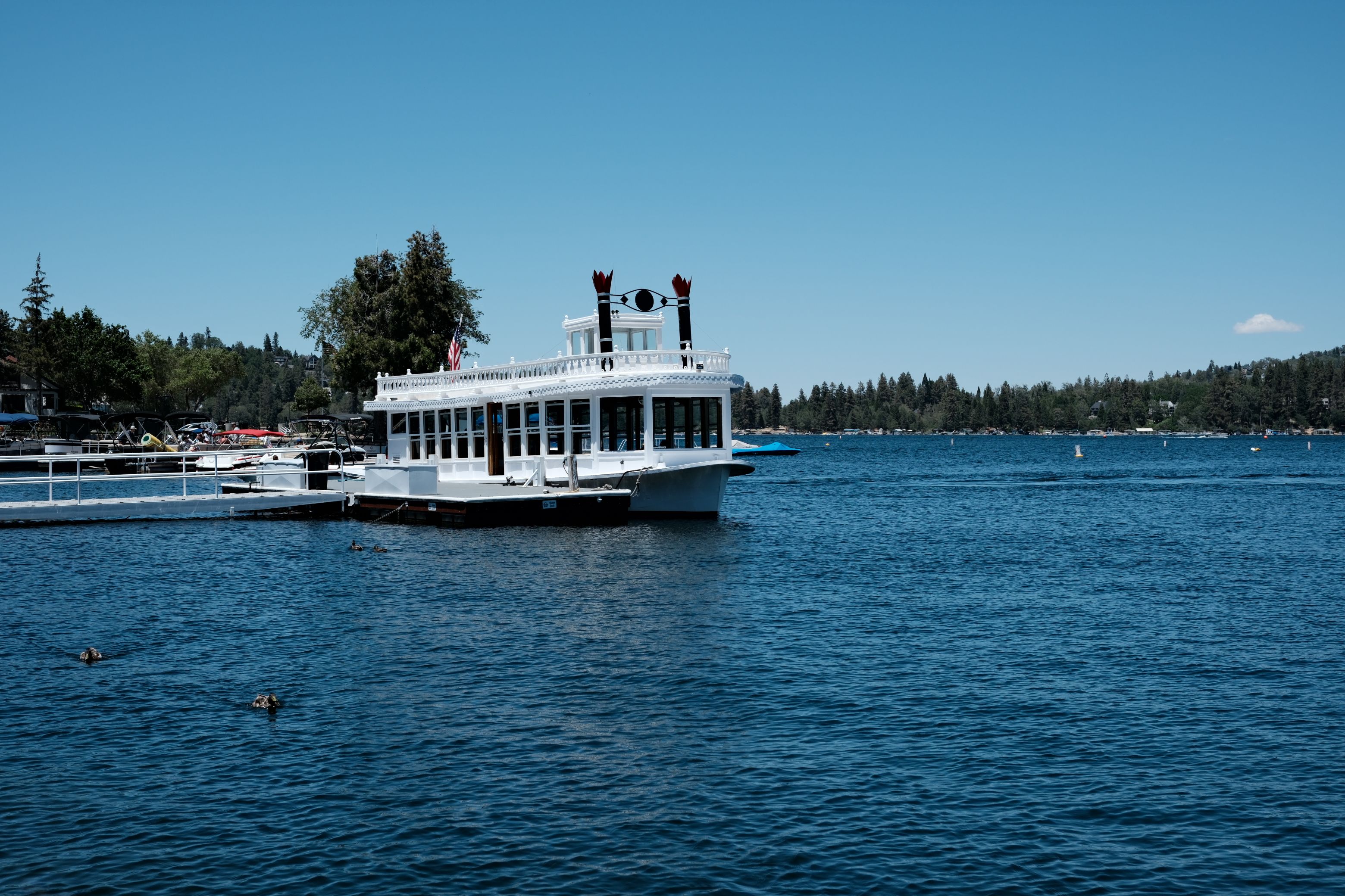 Rent a paddleboat on the lake