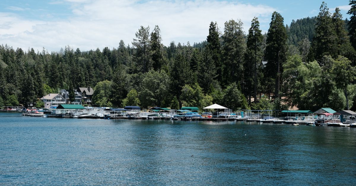 Serene lake scene featuring boats docked along a lush, pine-lined shore under a clear sky.