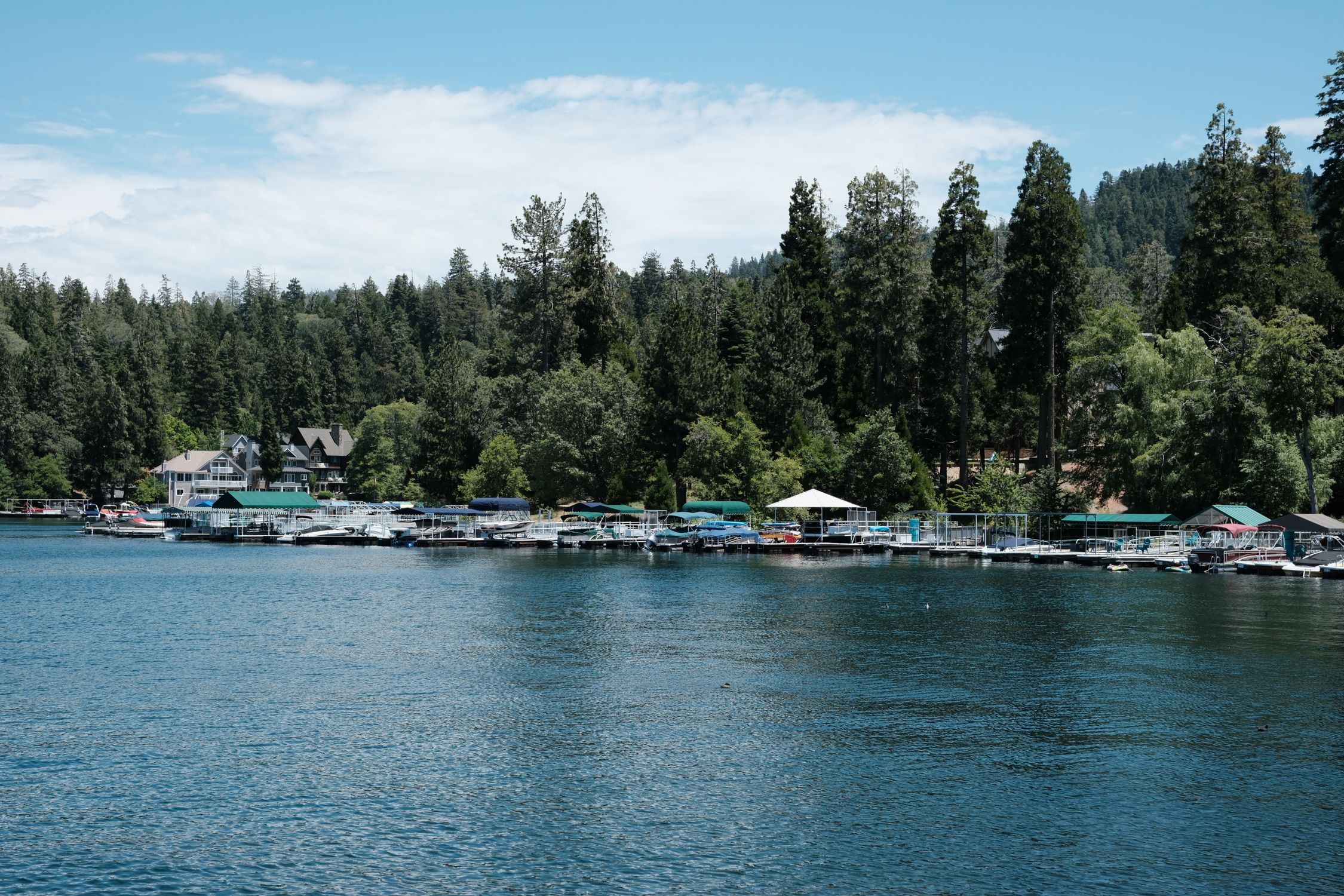 Serene lake scene featuring boats docked along a lush, pine-lined shore under a clear sky.