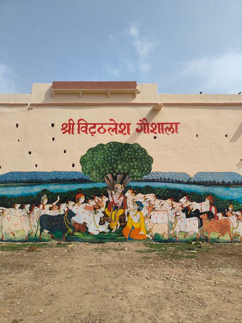 Free Vibrant mural depicting Indian cultural scene with cows and characters on a wall. Stock Photo