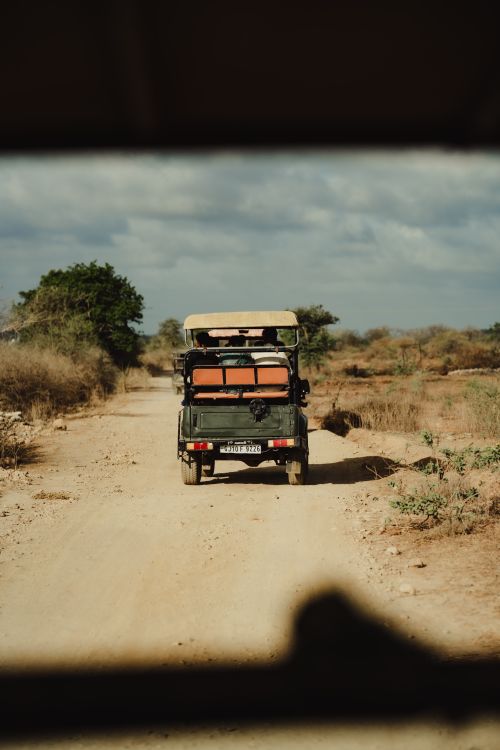 Free Explore the rugged terrains of India's Talala region with an exciting jeep safari ride. Stock Photo