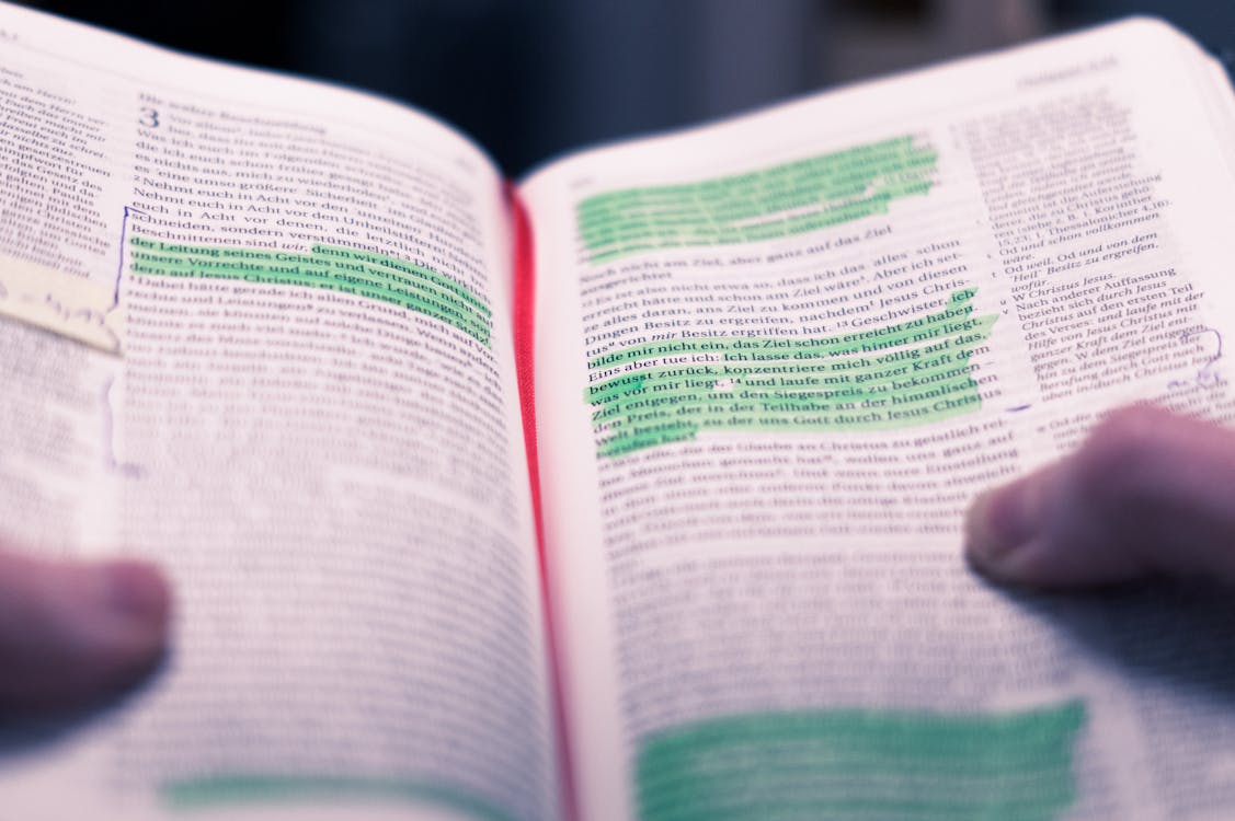 Understanding the Book of 2 Samuel, the Book from the Bible: Unlock King David’s Timeless Lessons Understanding the Book of 2 Samuel, the Book from the Bible: Unlock King David’s Timeless Lessons