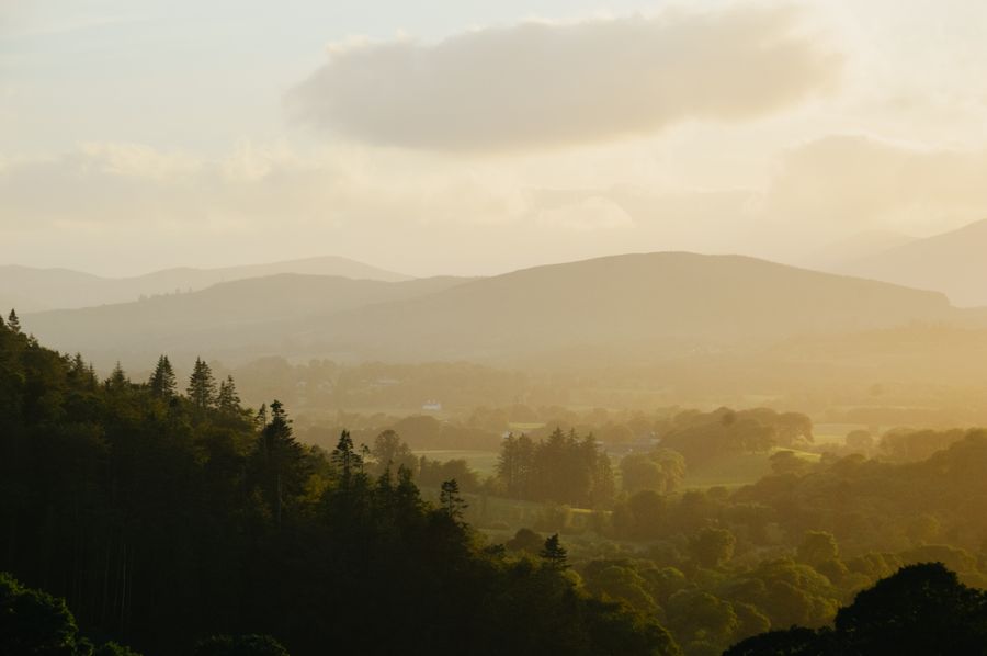 Irish hills and forests basking in the soft glow of the golden hour