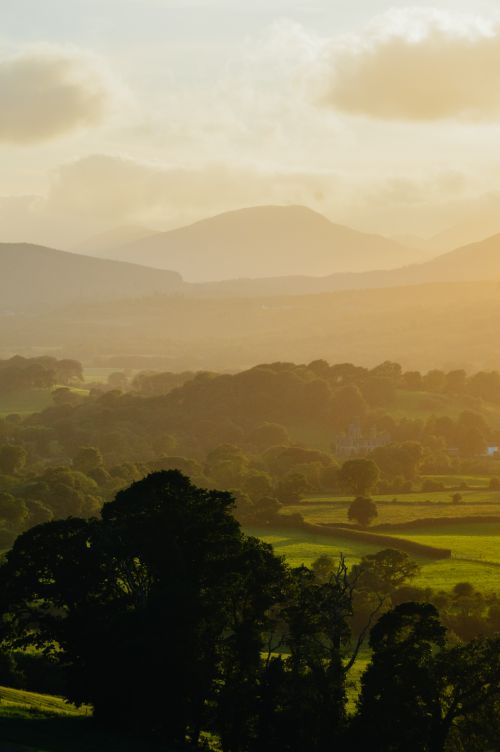 Free Beautiful rolling hills and trees in County Kerry, Ireland, during sunset. Stock Photo