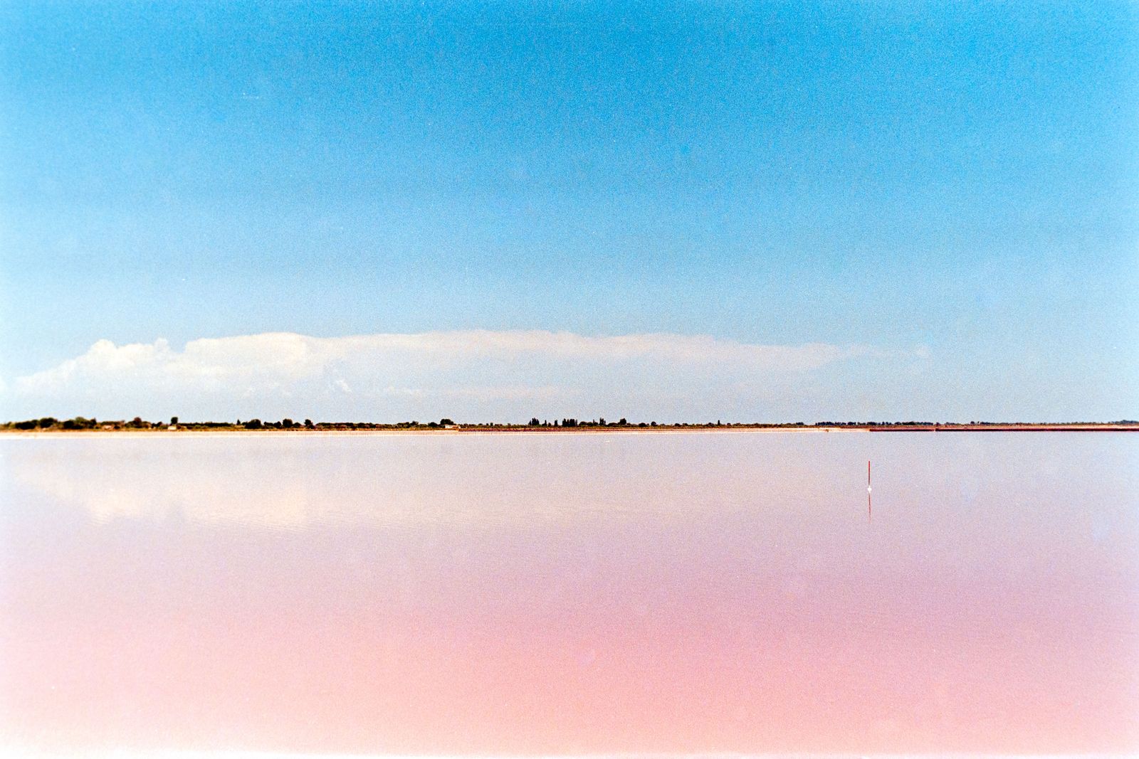 Lac salé rose des salins d'Aigues-Mortes