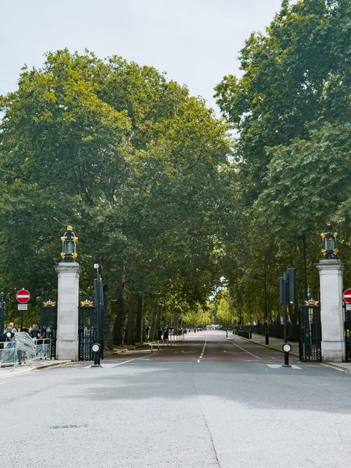 Free Quiet pathway lined with tall trees and elegant gate in a royal park setting. Stock Photo