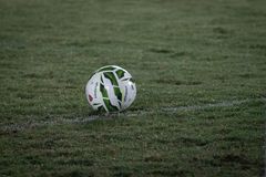 Imagen ilustrativa de la nota sobre Argelia presentó un reclamo formal a la FIFA por el arbitraje ante Argentina en deportes