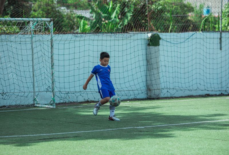 Sports ground & courts