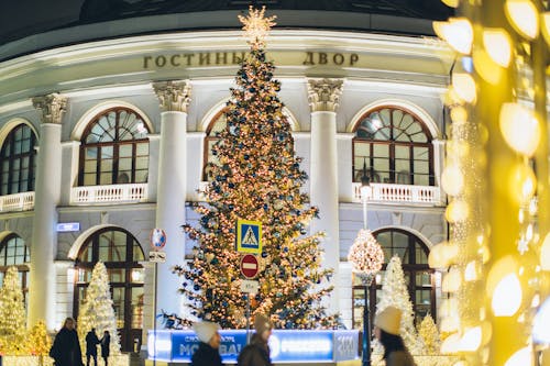 Low-Cost Christmas Getaways in India With Cozy Weather & Bright Evenings