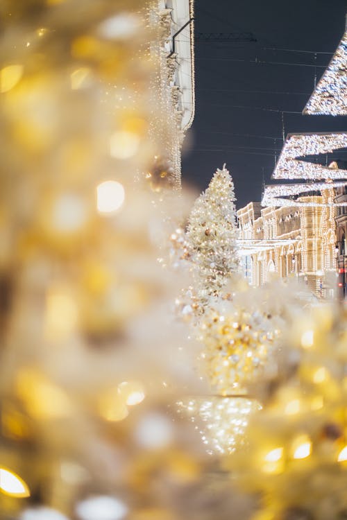 圣诞树上的灯串的选择性聚焦照片