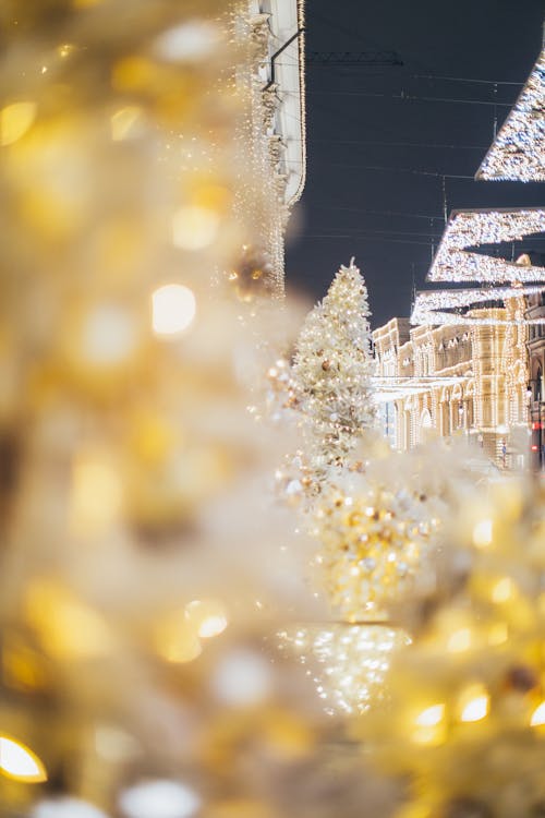 Foto Fokus Selektif Lampu String Di Pohon Natal