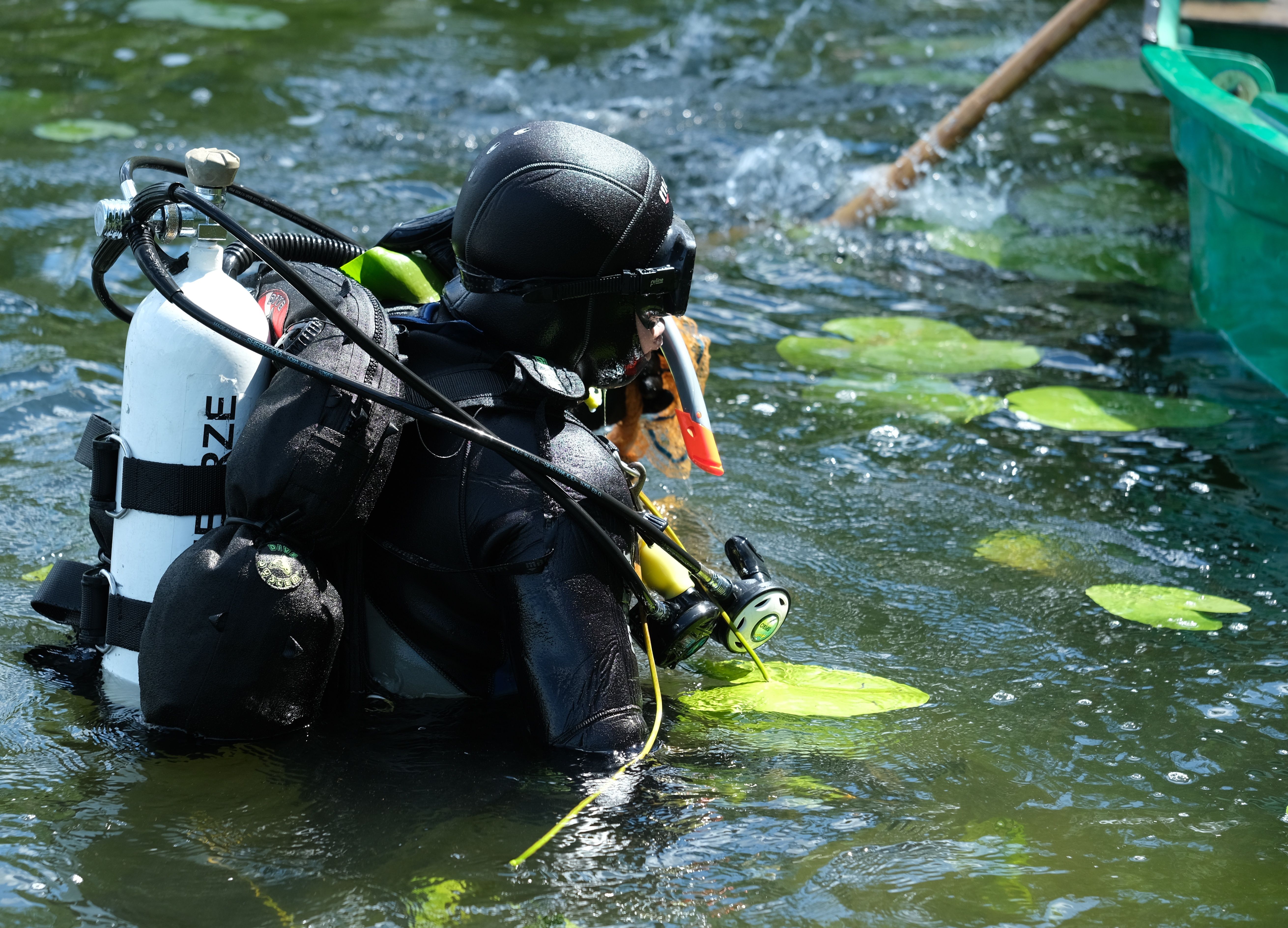 Curaçao Dive Tourism Shines at the 2026 Toronto Outdoor Adventure Show — Photo by Roman Biernacki on Pexels