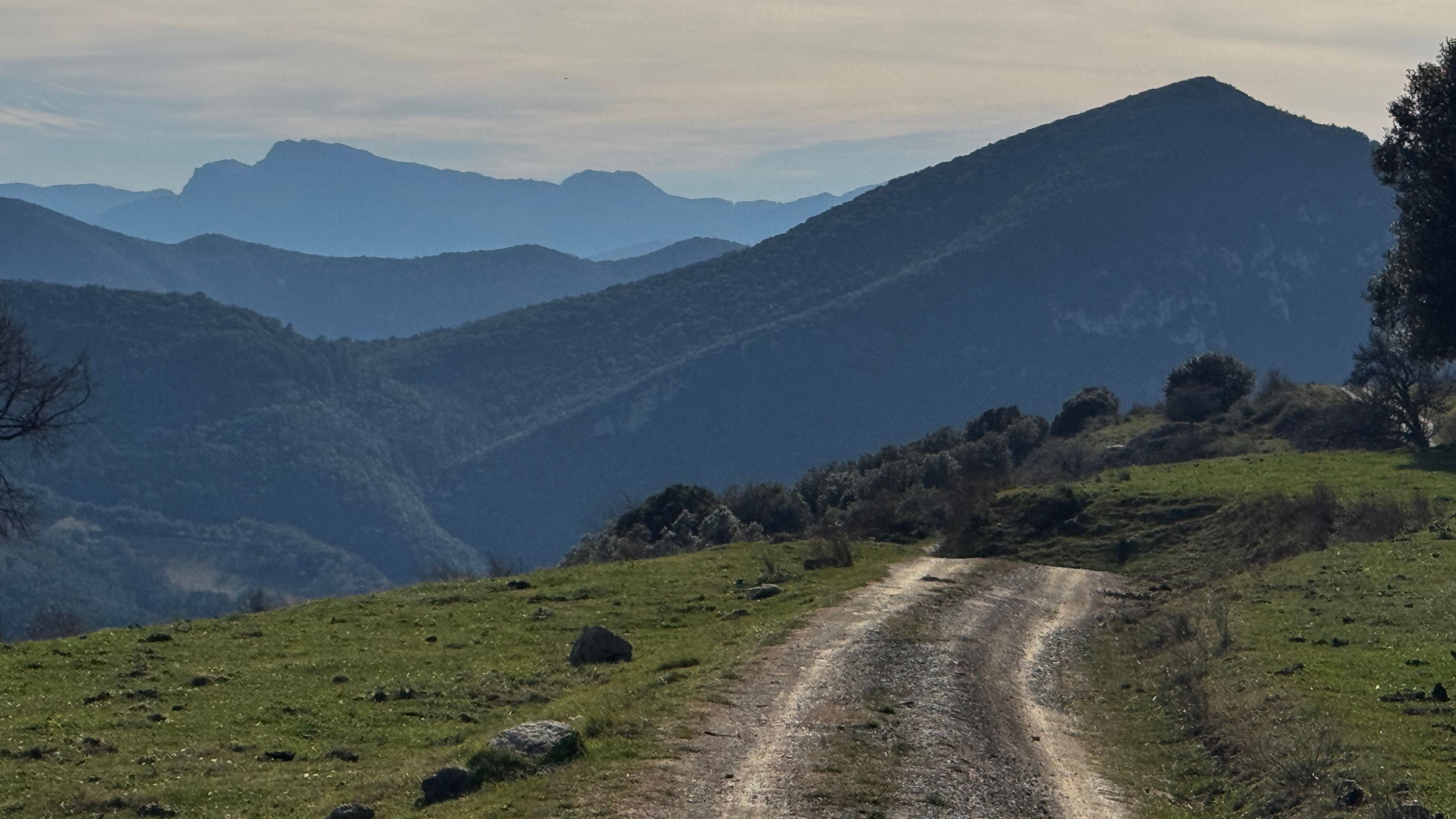 Paisaje montañoso con senderos