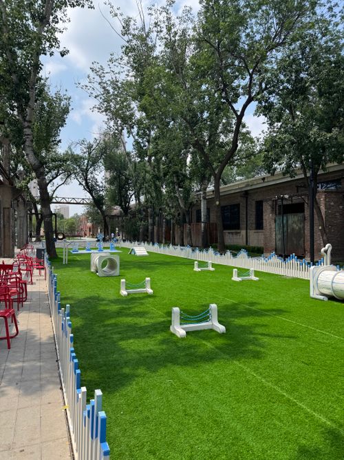 Free Sunny outdoor dog agility course with equipment on vibrant green turf, surrounded by trees. Stock Photo