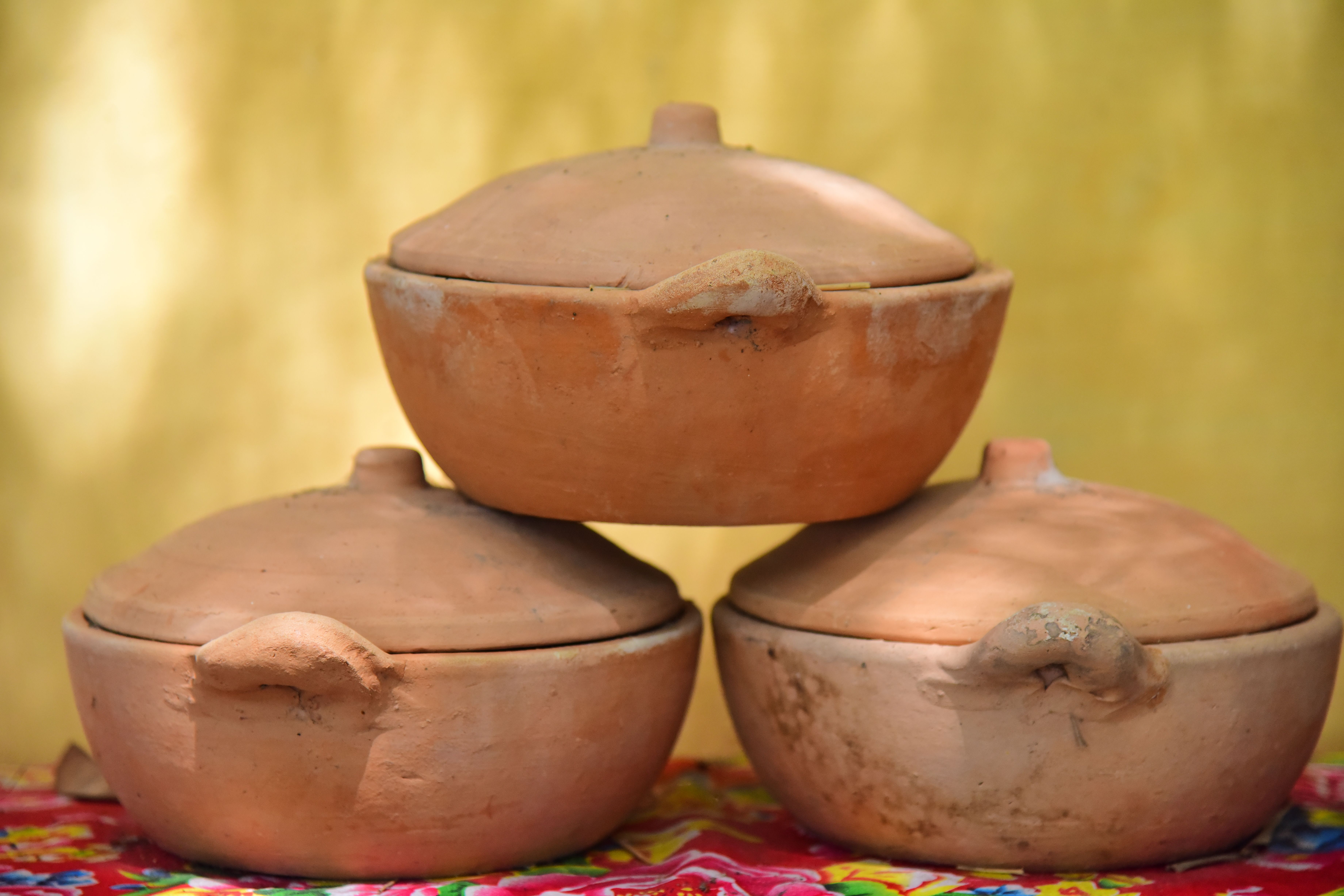 Garlic-Butter Tagine with a Quick Pan Sauce