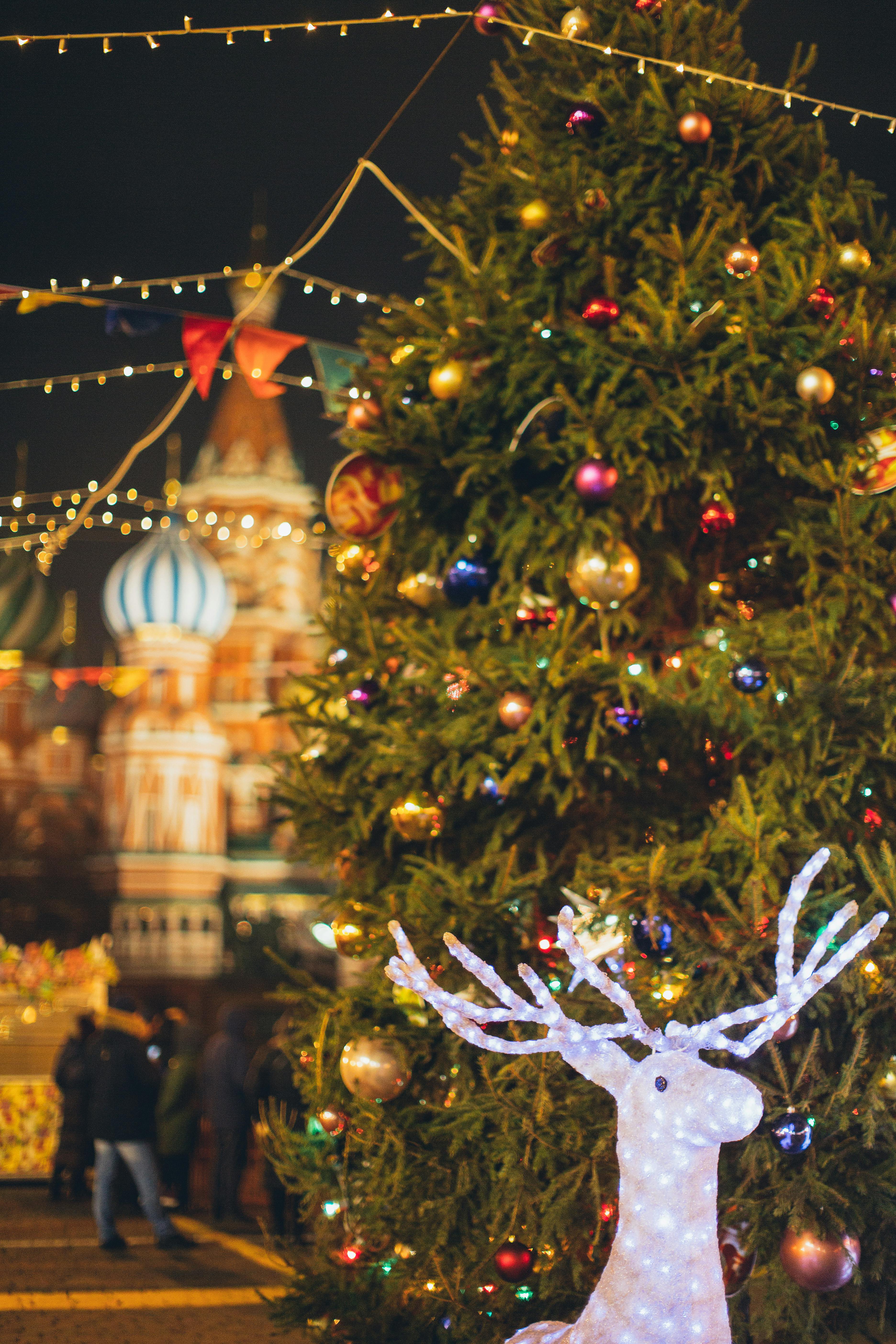 莫斯科红场夜间装饰着明亮的圣诞树和驯鹿