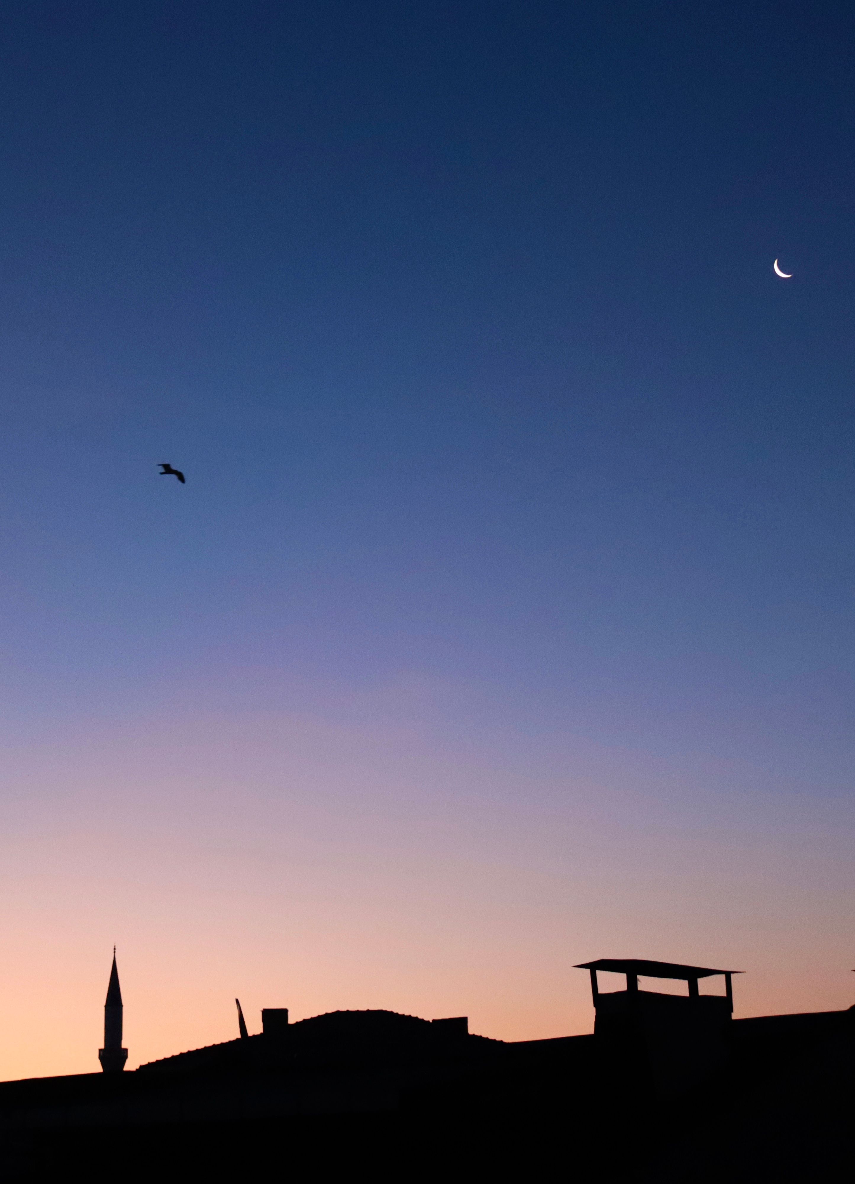 Silhouette of city skyline with crescent moon and bird at sunset.