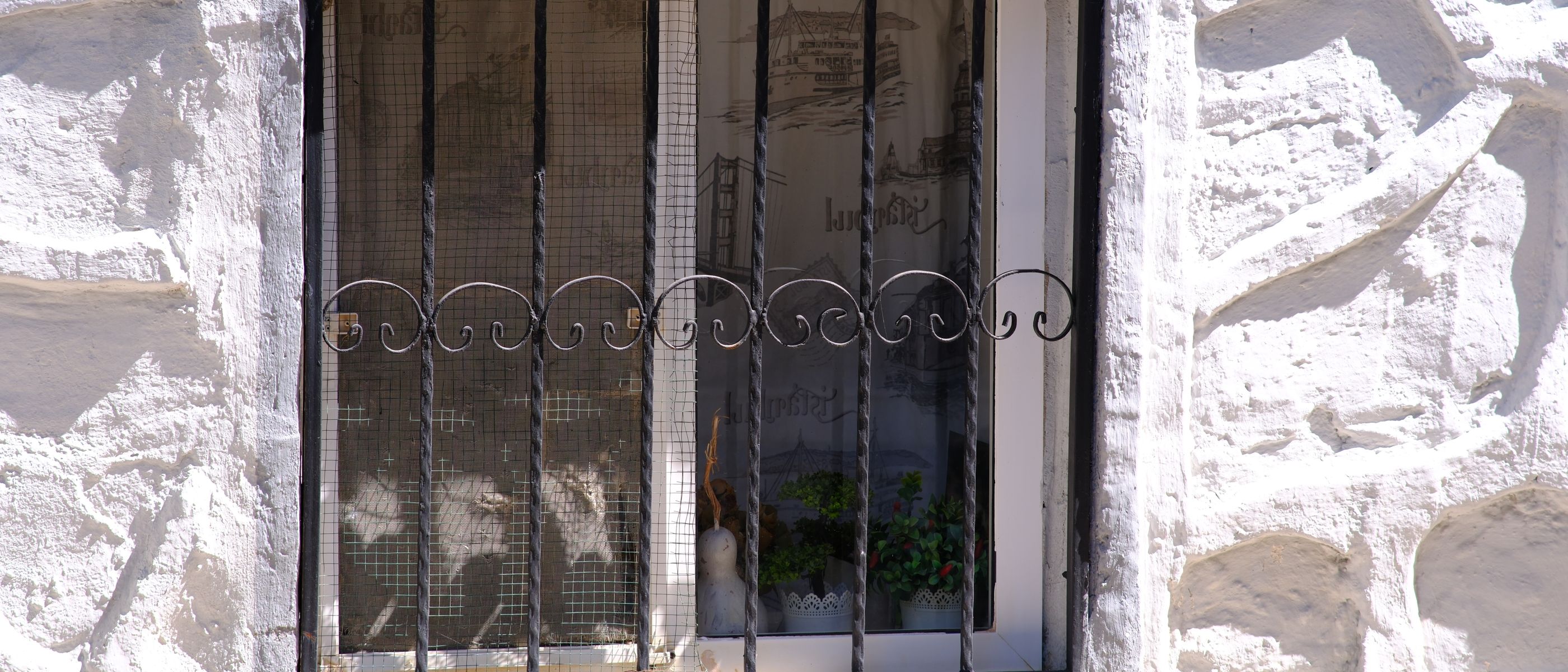 Exterior Painting in Lessness Heath — dust sheets down and the room fully protected