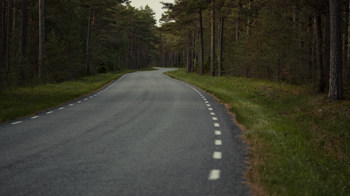 Free A peaceful winding road through a lush forest in summer, ideal for travel inspiration. Stock Photo