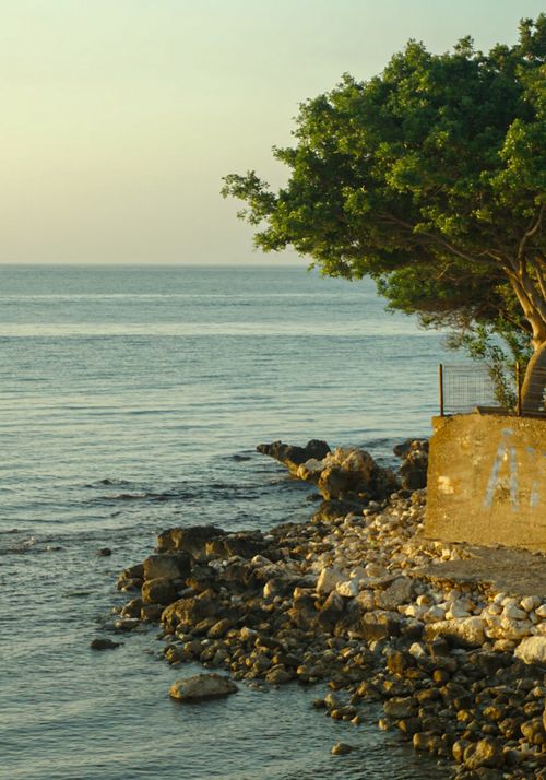 Free Serene rocky shoreline with a tree at sunset, perfect for relaxation themes. Stock Photo