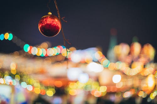 Solitary Christmas toy on bare tree branch against blurred multicolored lights