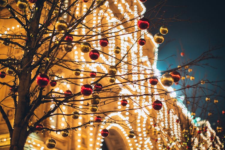 Red And Yellow Baubles On Bare Tree Beside Lighted Building At Night