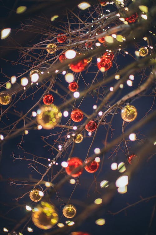 光沢のあるクリスマスのおもちゃと暗い空を背景にライトと裸の木
