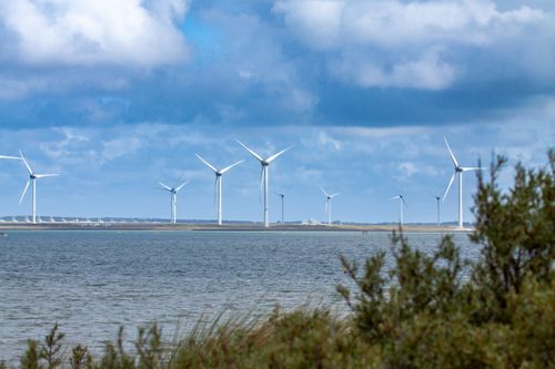 Free Scenic view of wind turbines across the water in Kamperland, Netherlands under a cloudy sky. Stock Photo
